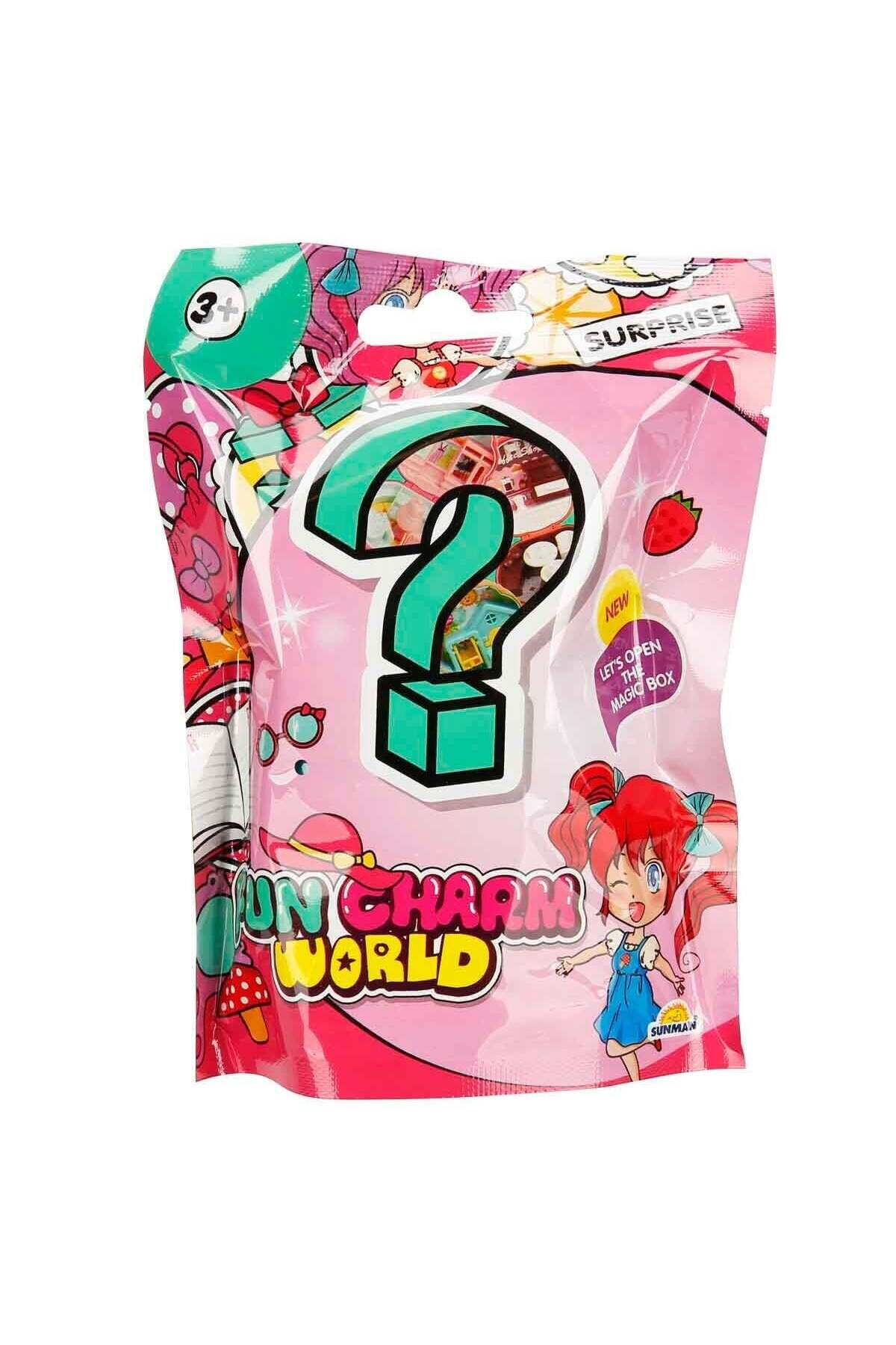 Fun Charm World Dollhouse Sürpriz Paket