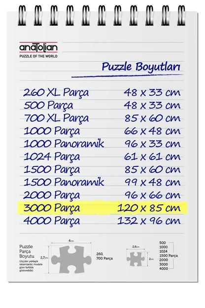 Anatolian Puzzle Atina Okulu 3000 Parça