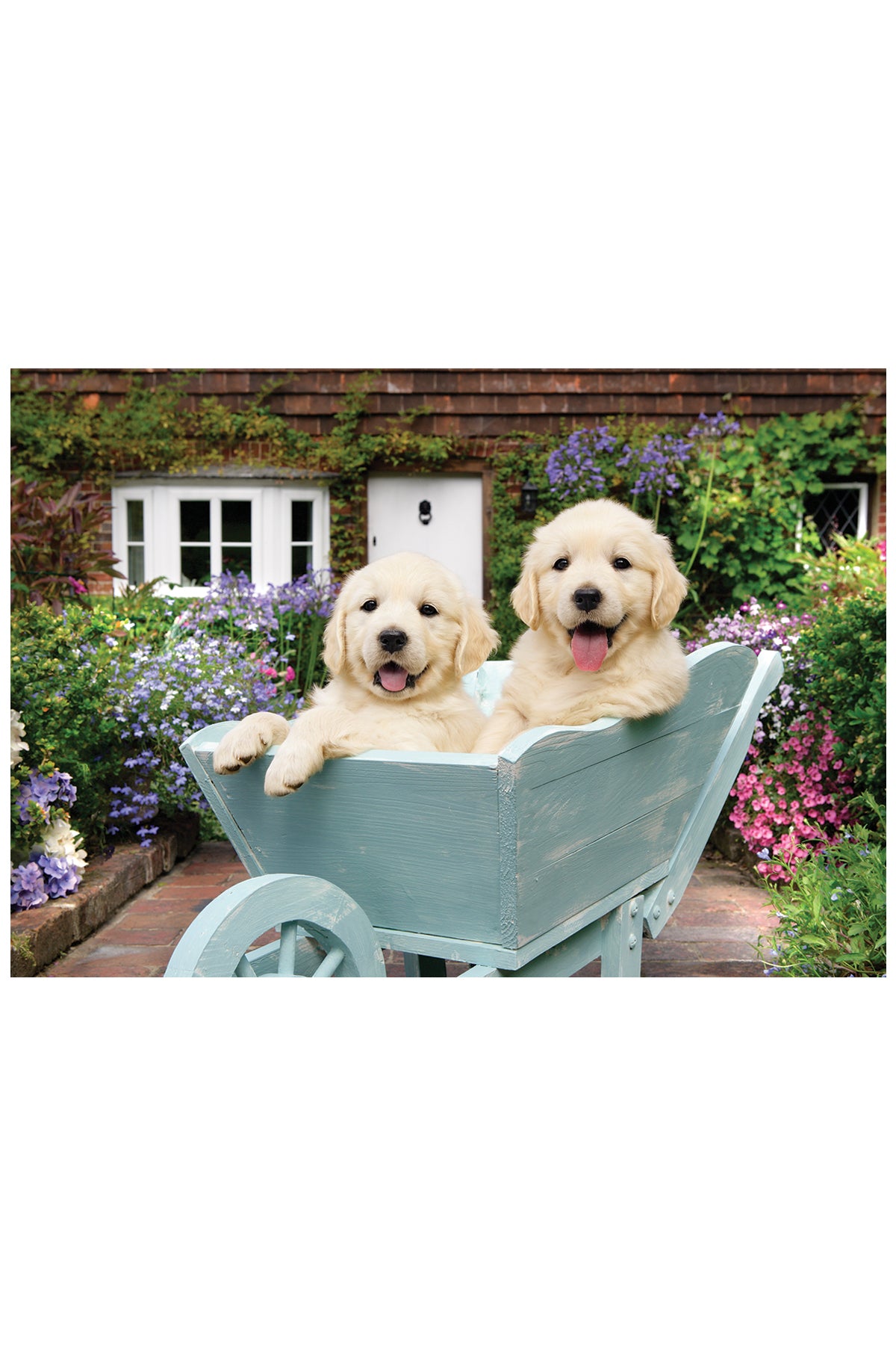 Anatolian Puzzle Bahçıvan Köpekler 260 Parça