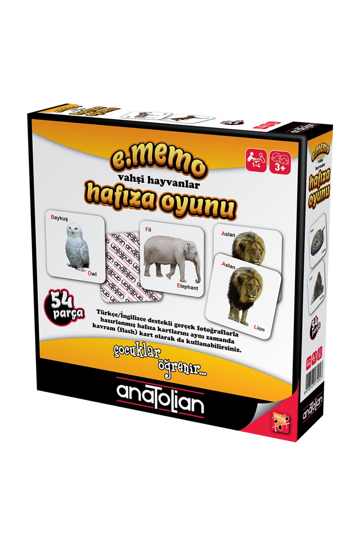 Anatolian Vahşi Hayvanlar Hafıza Oyunu