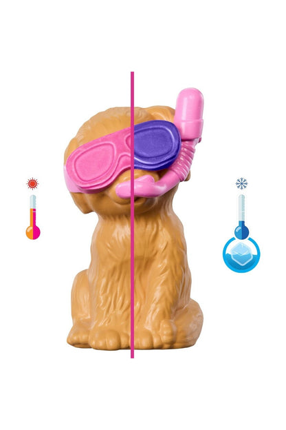 Barbie Köpekçikle Havuz Partisi