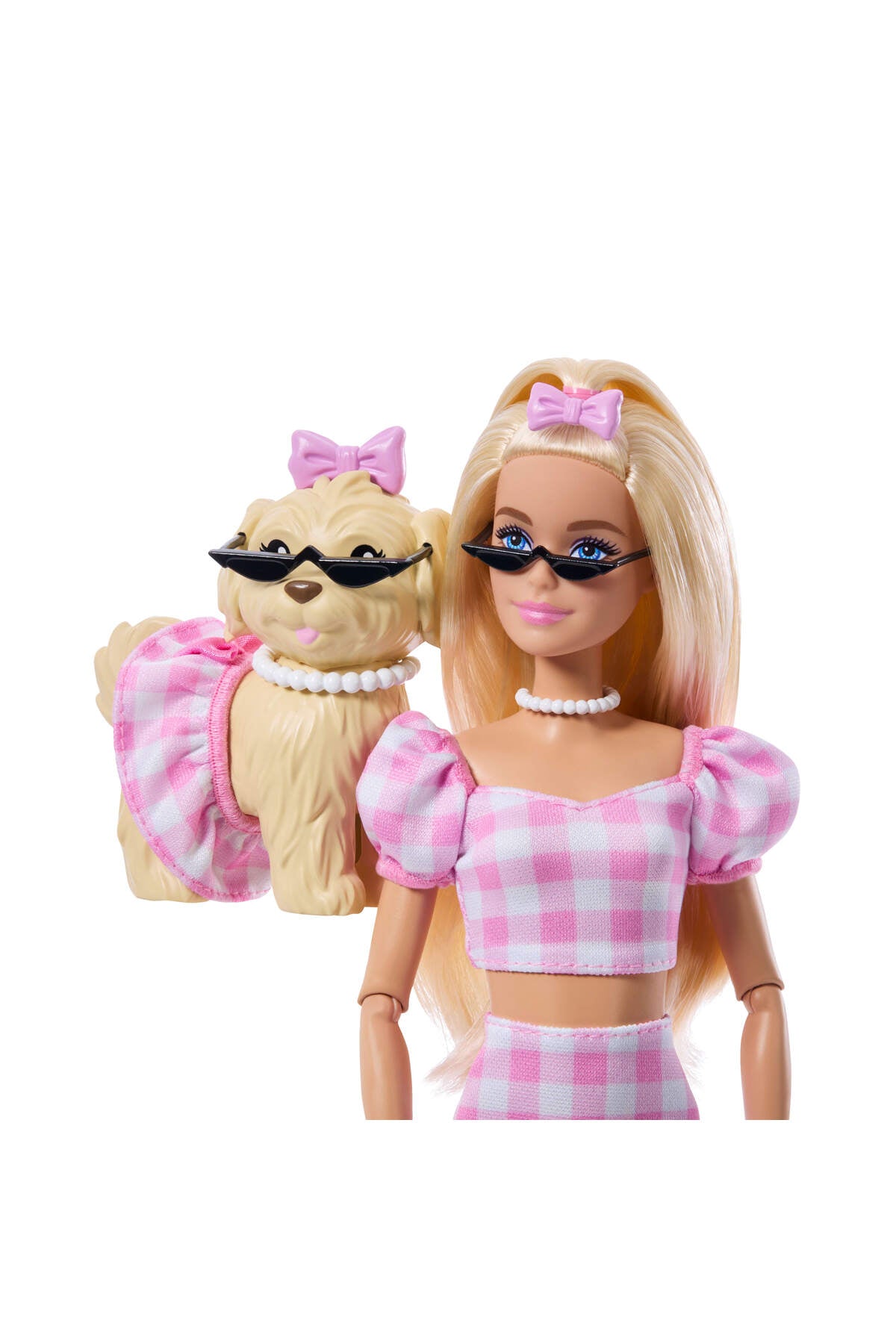 Barbie Uyumlu Dostlar Fiyonk Teması