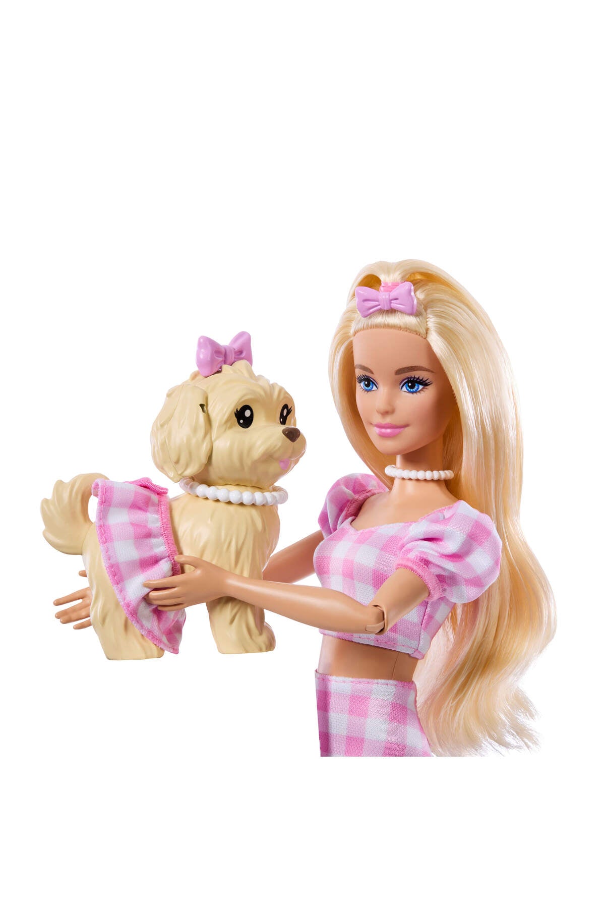 Barbie Uyumlu Dostlar Fiyonk Teması