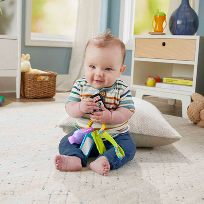 Fisher Price Eğlen ve Öğren Aktivite Anahtarı