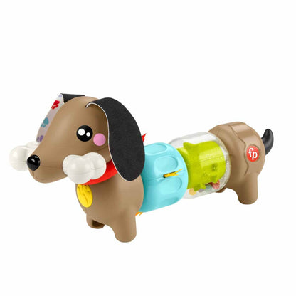 Fisher Price Köpekçikle Eğlenceli Aktiviteler