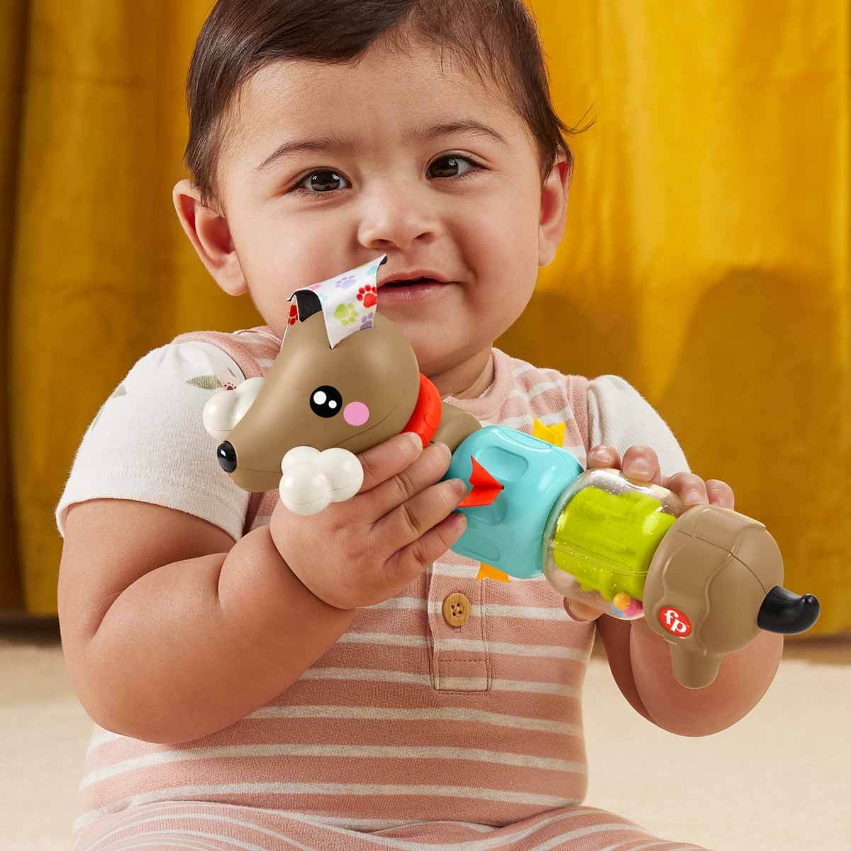 Fisher Price Köpekçikle Eğlenceli Aktiviteler