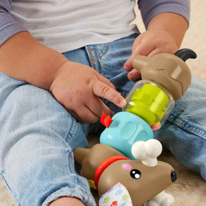 Fisher Price Köpekçikle Eğlenceli Aktiviteler