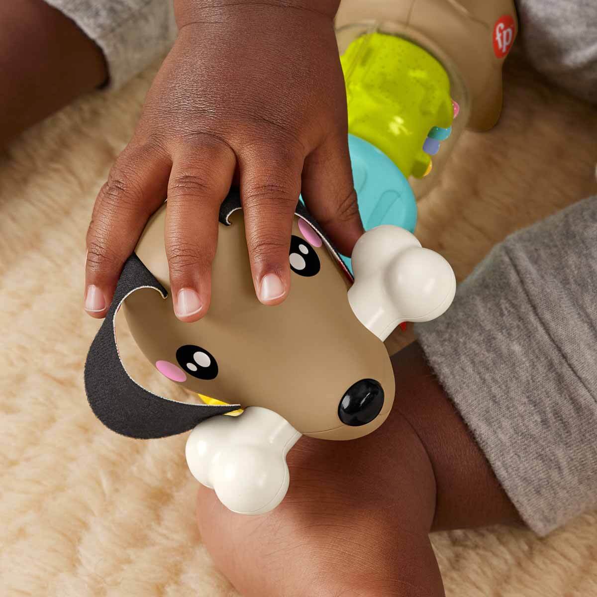 Fisher Price Köpekçikle Eğlenceli Aktiviteler