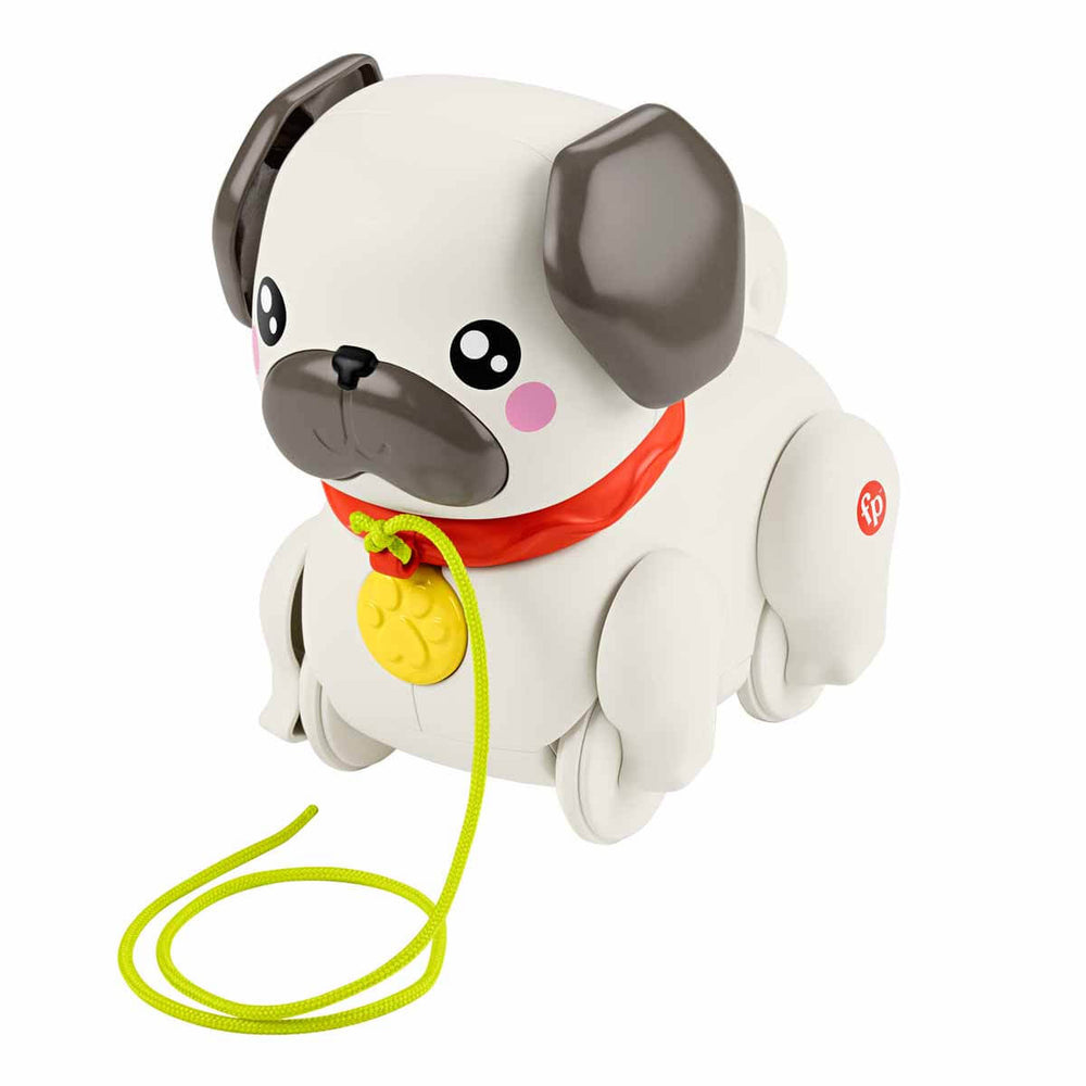 Fisher Price Minik Dostumla Yürüyüş