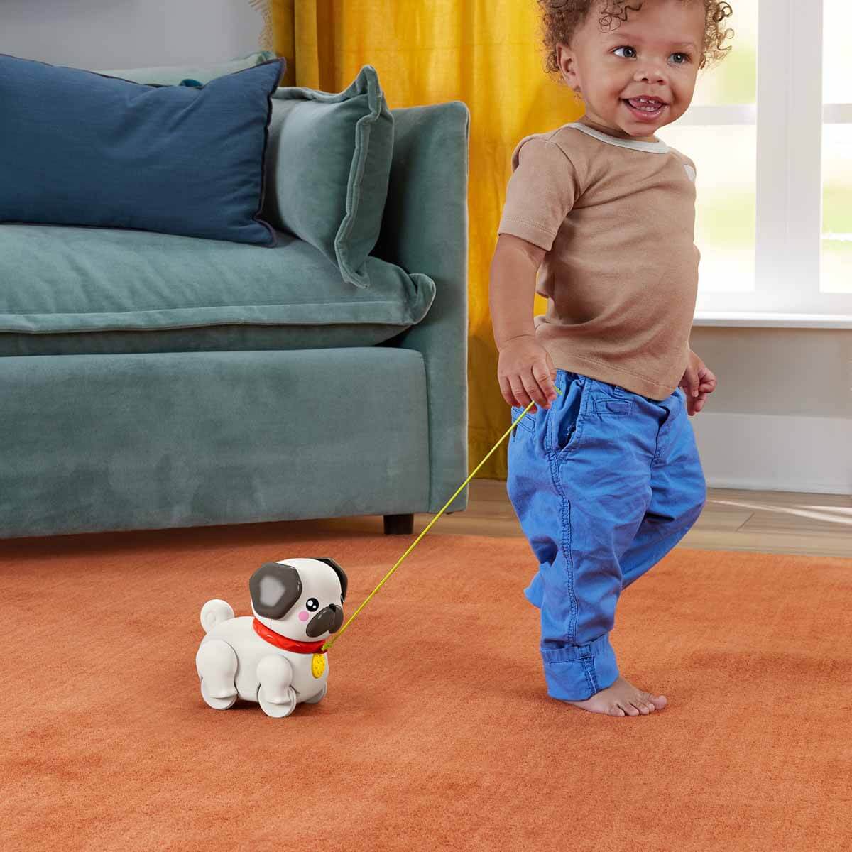 Fisher Price Minik Dostumla Yürüyüş