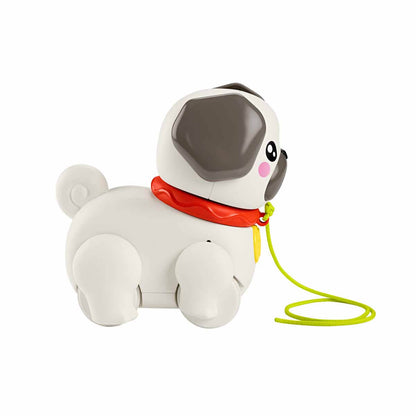 Fisher Price Minik Dostumla Yürüyüş