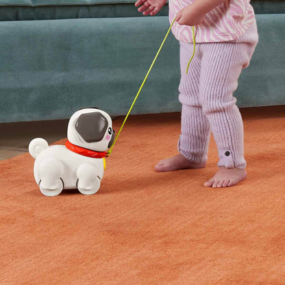 Fisher Price Minik Dostumla Yürüyüş
