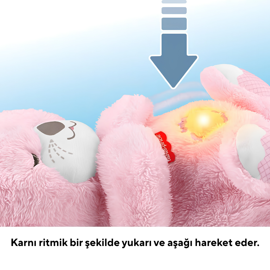 Fisher Price Uyku Arkadaşı Su Samuru Pembe
