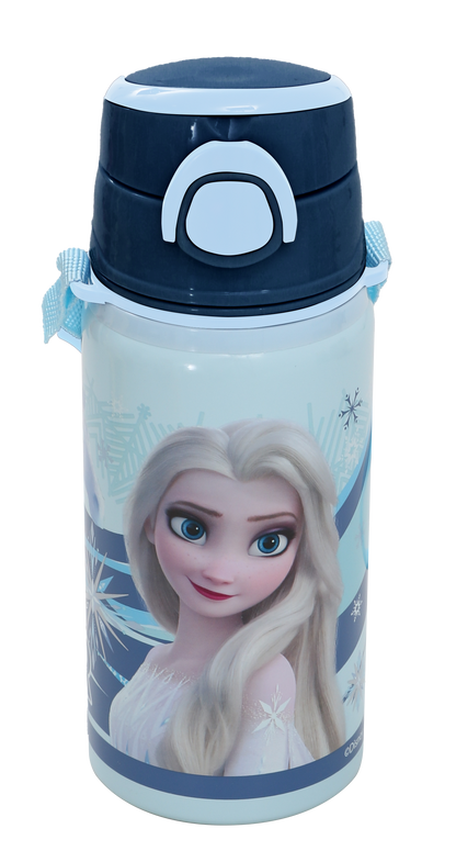 Frozen Çelik Matara Salto 500 ml Rider