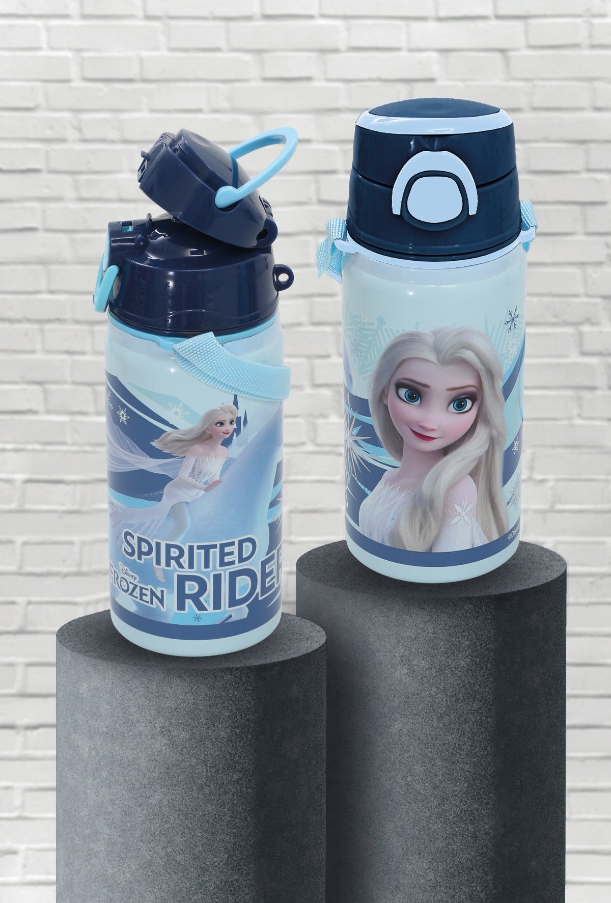 Frozen Çelik Matara Salto 500 ml Rider