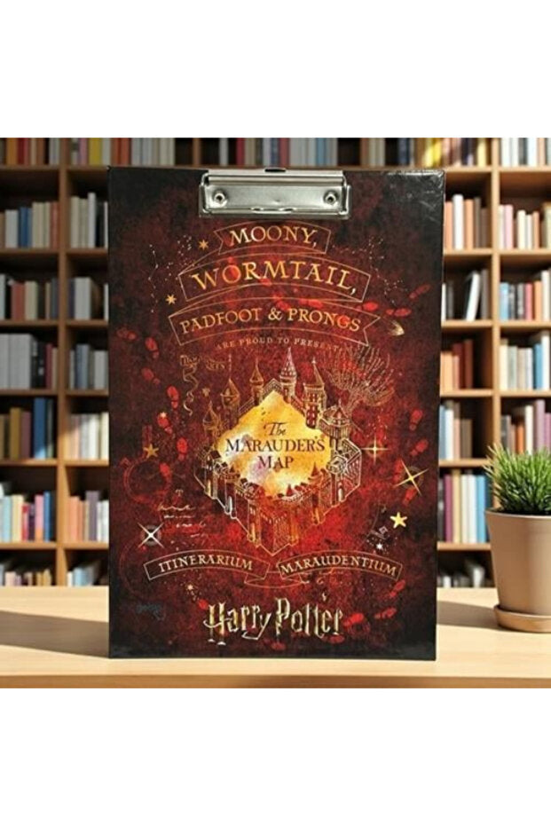 Harry Potter Karton Sekreterlik
