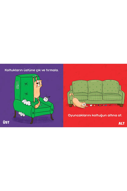 Kedi Ponçik ile Kedi Olma Kuralları Zıtlık Kitabı
