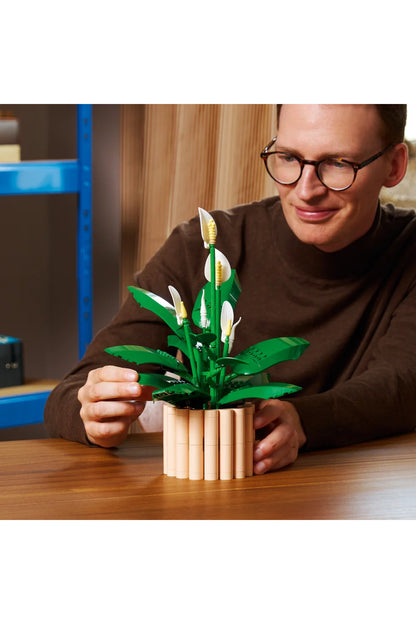 LEGO Botanicals Barış Çiçeği 11504
