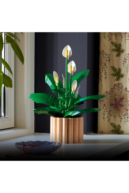 LEGO Botanicals Barış Çiçeği 11504