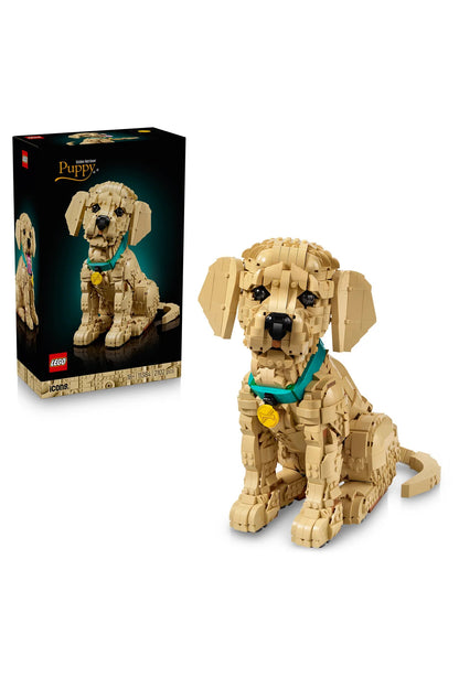 LEGO Icons Yavru Golden Retriever 11384