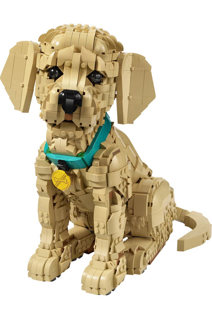 LEGO Icons Yavru Golden Retriever 11384