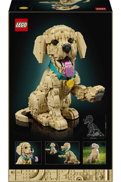 LEGO Icons Yavru Golden Retriever 11384
