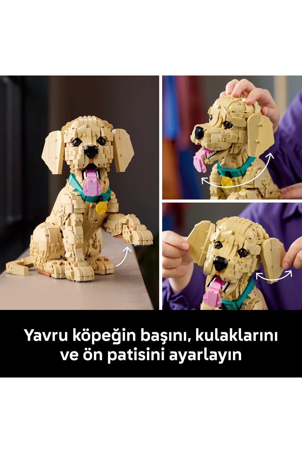 LEGO Icons Yavru Golden Retriever 11384