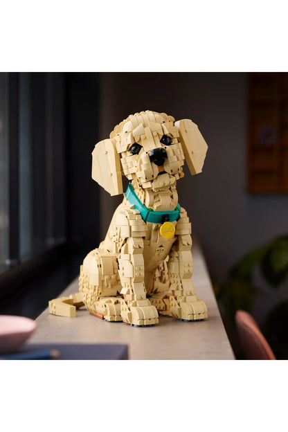 LEGO Icons Yavru Golden Retriever 11384