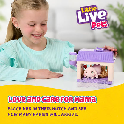 Little Live Pets Anne ve Yavruları Mini Tavşan S4