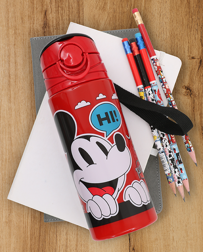 Mickey Mouse Plastik Matara Frx 500 ml Picnic