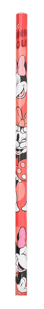 Minnie Mouse Sassy Kırtasiye Seti 11 Parça