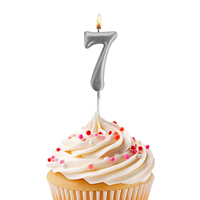 Mum 7 Rakamlı - Gümüş Çubuklu 7 cm