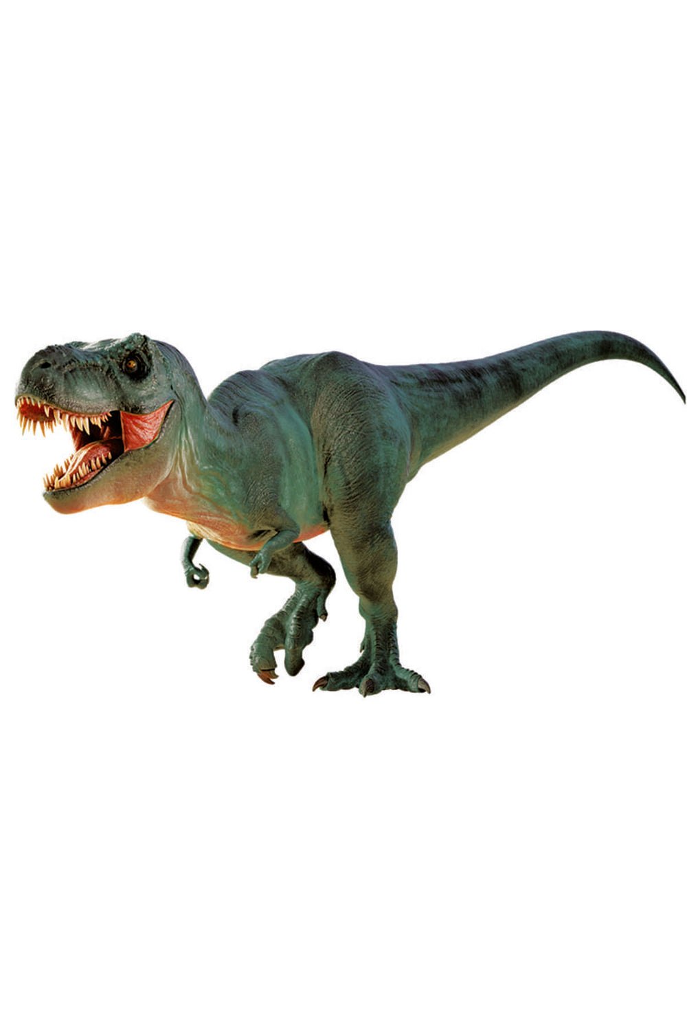 National Geographic Dino Kazı Kiti Seti