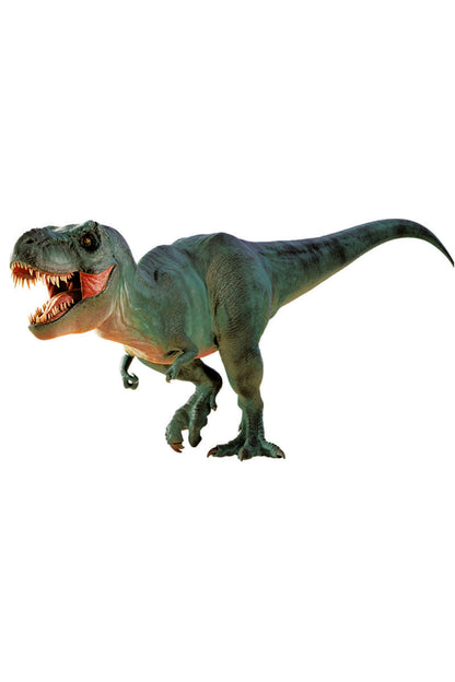 National Geographic Dino Kazı Kiti Seti