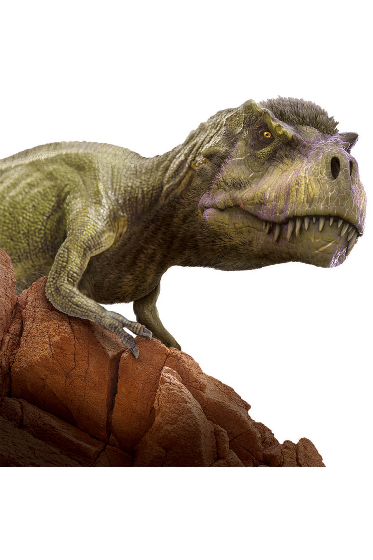 National Geographic Dino Kazı Kiti Seti