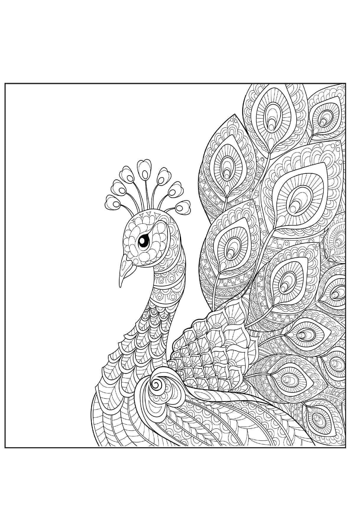 Naturel Doğa Mandala