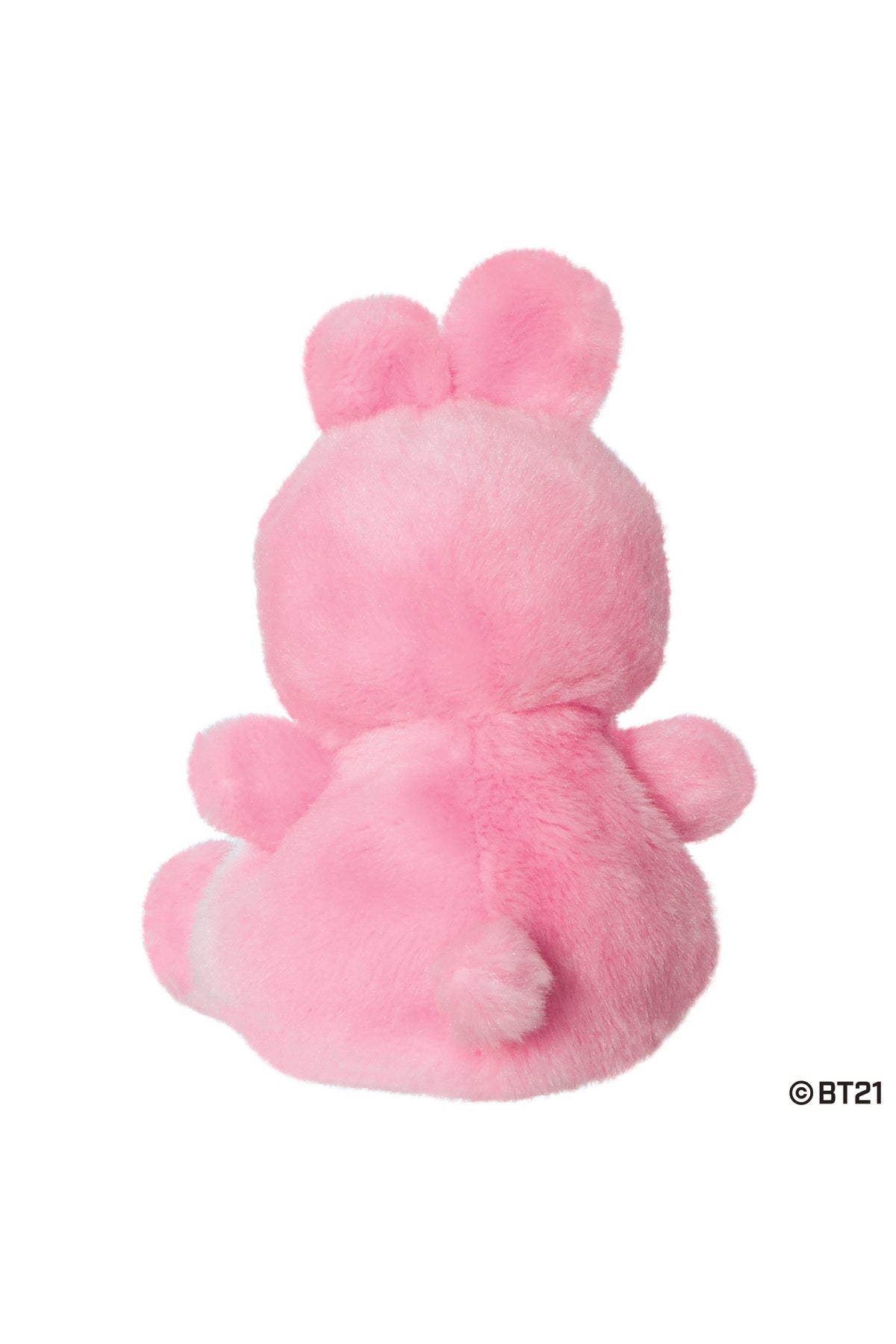 Palm Pals BT21 Cooky Palm Pal Peluş 13 cm