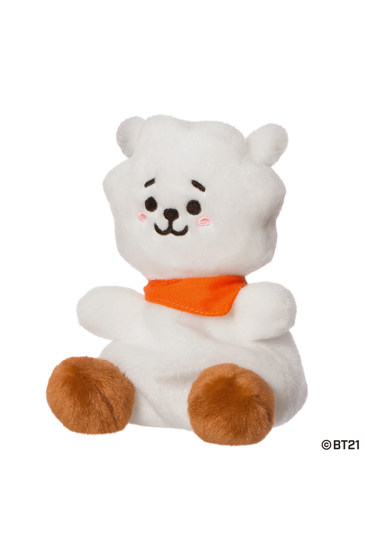 Palm Pals BT21 RJ Peluş 13 cm