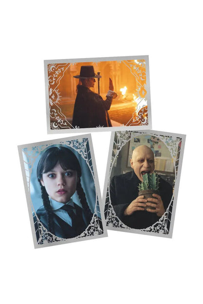 Panini Wednesday Sticker Paketi