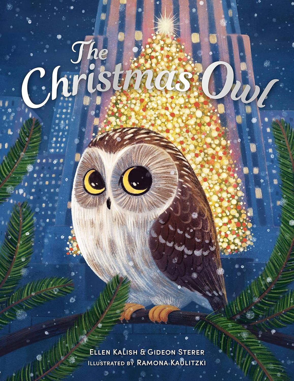 The Christmas Owl Hikaye Kitap