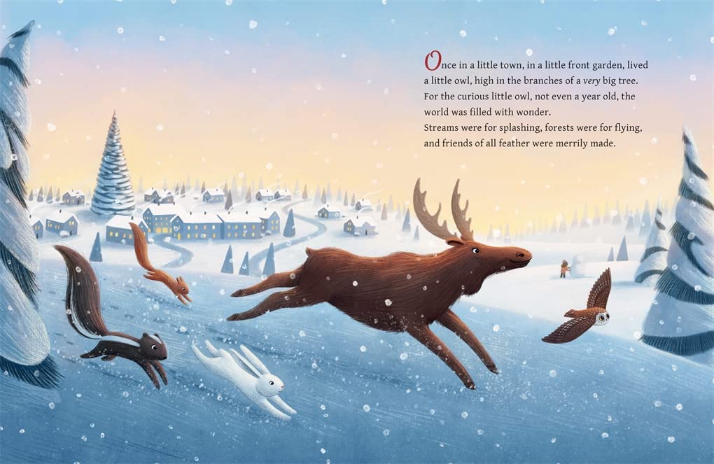 The Christmas Owl Hikaye Kitap