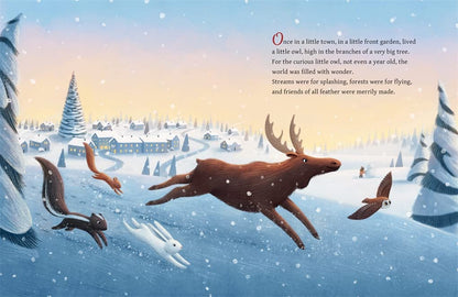 The Christmas Owl Hikaye Kitap