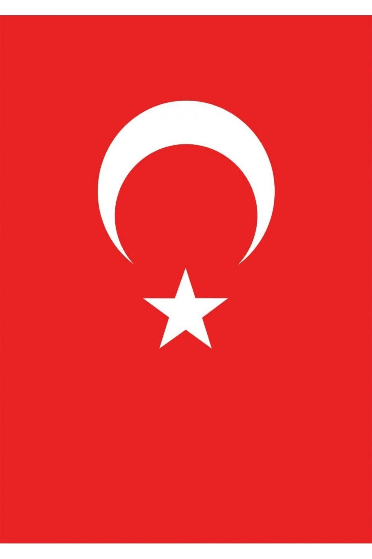 Türk Bayrağı 50x75 cm